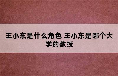 王小东是什么角色 王小东是哪个大学的教授